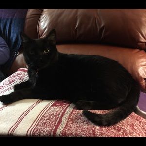 Meet your Posher, Deborah